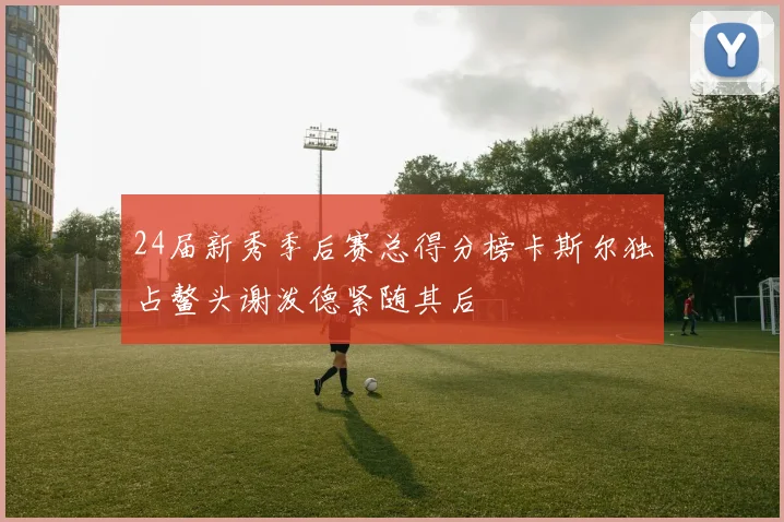 24届新秀季后赛总得分榜卡斯尔独占鳌头谢泼德紧随其后